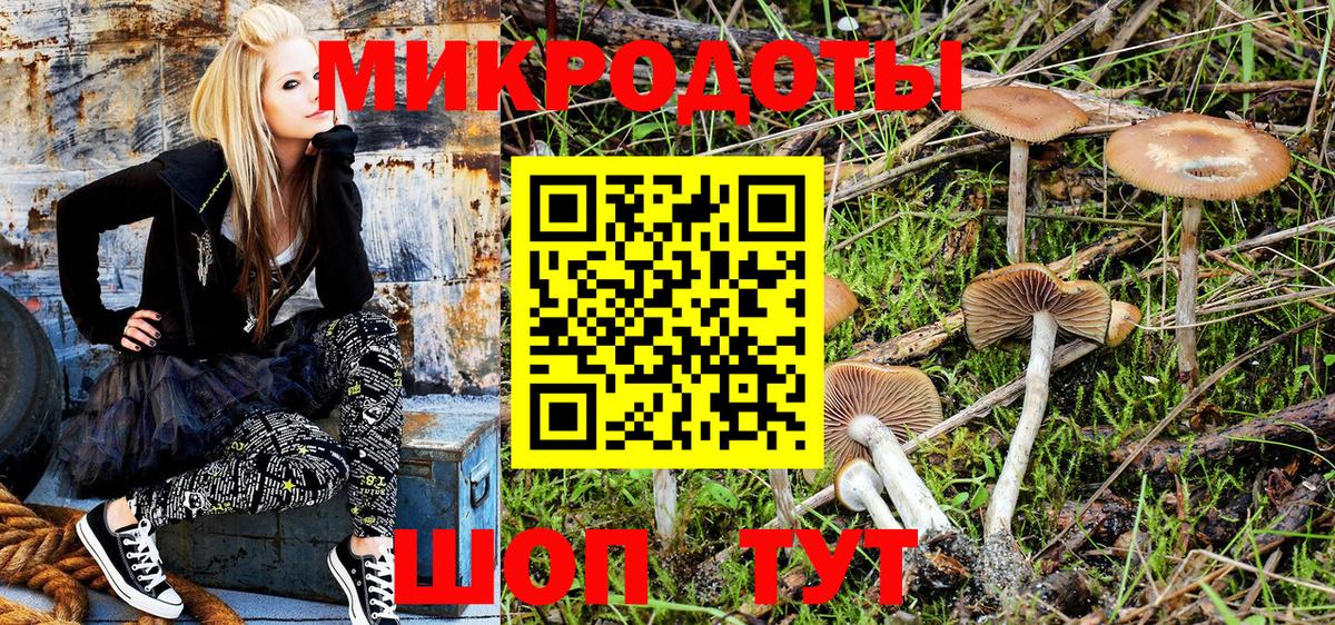 Светлоград  Галлюциногенные грибы прущие грибы  где продают наркотики  Вход с VPN 