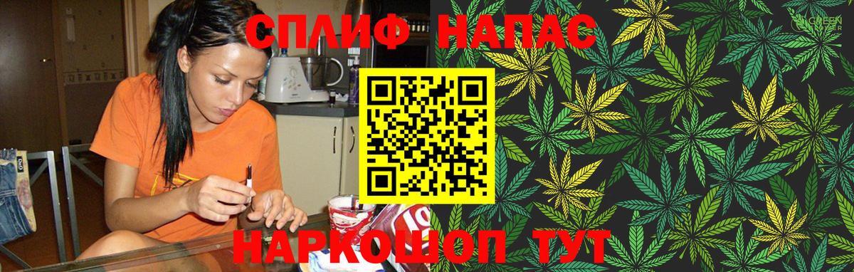 Шишки марихуана MAZAR  Вход с VPN  Марихуана White Widow  Канабис индика  Светлоград 
